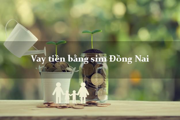 Vay tiền bằng sim Đồng Nai